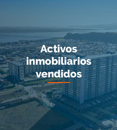 Activos inmobiliarios vendidos
