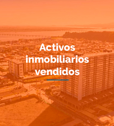 Activos inmobiliarios vendidos